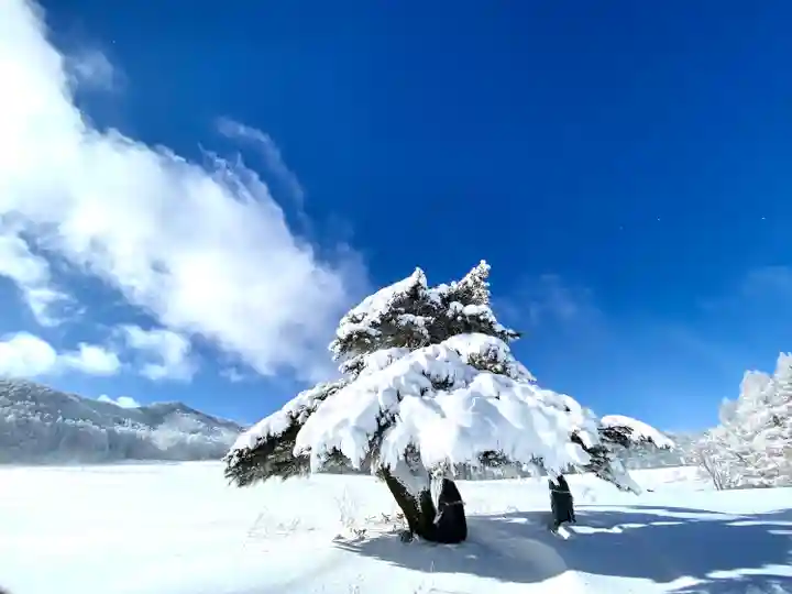 道光神社の自然