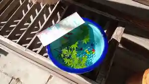 阿邪訶根神社(福島県)(2024年05月22日(水) 04時55分58秒投稿)