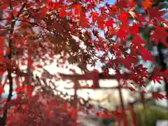 生島足島神社(長野県)