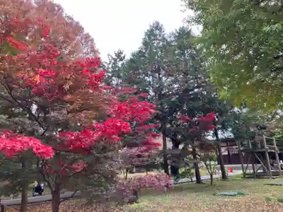 淨眞寺(東京都)
