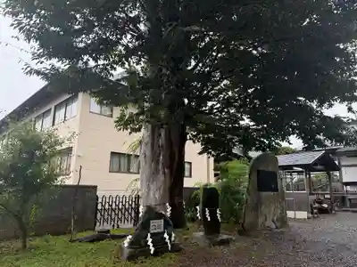 三ツ石神社(岩手県)