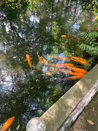 平林寺(埼玉県)