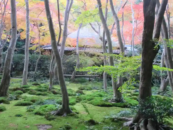 祇王寺(京都府)