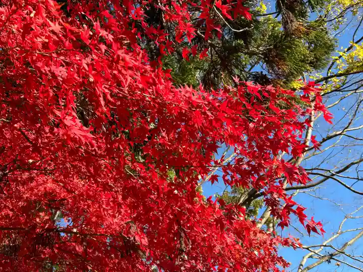 国宝 大法寺(長野県)