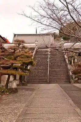 龍光院(愛媛県)