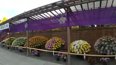 亀戸天神社(東京都)