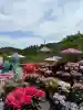南法華寺(壷阪寺)(奈良県)