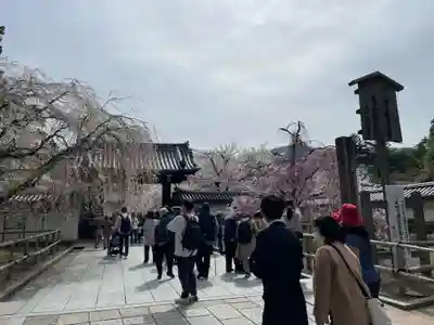 醍醐寺(京都府)