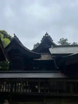平濱八幡宮の{uncategorized: "未分類", other: "その他", undefined: "問題あり", building: "その他建物", grave: "お墓", sacred_gate: "鳥居", guardian: "狛犬", statue: "像", buddha: "仏像", history: "歴史", nature: "自然", garden: "庭園", animal: "動物", pagoda: "塔", temizu: "手水舎", mountain_gate: "山門・神門", sanctuary: "本殿・本堂", subordinate: "末社・摂社", art: "芸術", scenery: "景色", jizo: "地蔵", ema: "絵馬", goshuin: "御朱印", omikuji: "おみくじ", items: "授与品その他", amulet: "お守り", goshuincho: "御朱印帳", eats: "食事", festival: "お祭り", votive_dance: "神楽", shichigosan: "七五三参", wedding: "結婚式", experience: "体験その他", initially: "初詣", around: "周辺", anti_infection: "感染症対策"}