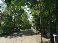 信濃神社の建物その他