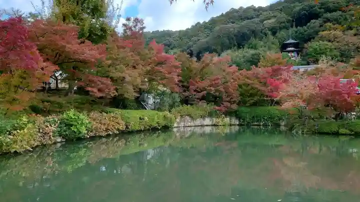 禅林寺(永観堂)の{uncategorized: "未分類", other: "その他", undefined: "問題あり", building: "その他建物", grave: "お墓", sacred_gate: "鳥居", guardian: "狛犬", statue: "像", buddha: "仏像", history: "歴史", nature: "自然", garden: "庭園", animal: "動物", pagoda: "塔", temizu: "手水舎", mountain_gate: "山門・神門", sanctuary: "本殿・本堂", subordinate: "末社・摂社", art: "芸術", scenery: "景色", jizo: "地蔵", ema: "絵馬", goshuin: "御朱印", omikuji: "おみくじ", items: "授与品その他", amulet: "お守り", goshuincho: "御朱印帳", eats: "食事", festival: "お祭り", votive_dance: "神楽", shichigosan: "七五三参", wedding: "結婚式", experience: "体験その他", initially: "初詣", around: "周辺", anti_infection: "感染症対策"}