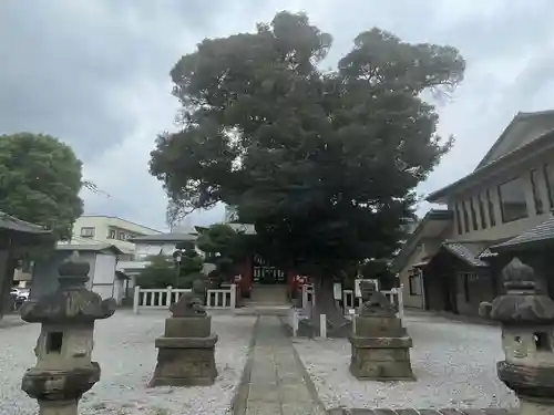 小村田氷川神社(埼玉県)