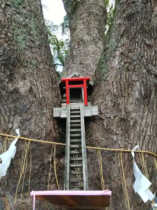 加藤神社(熊本県)