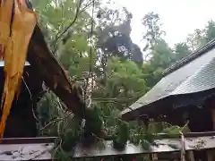 大生神社の本殿