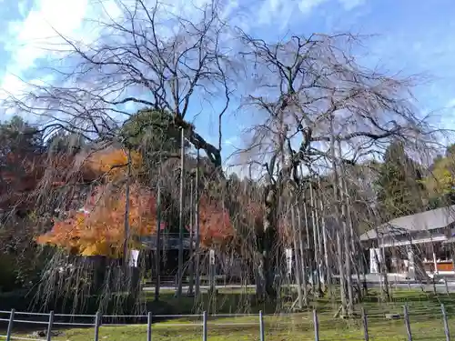 足羽神社(福井県)