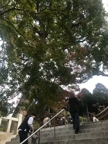 宝満宮竈門神社のその他建物