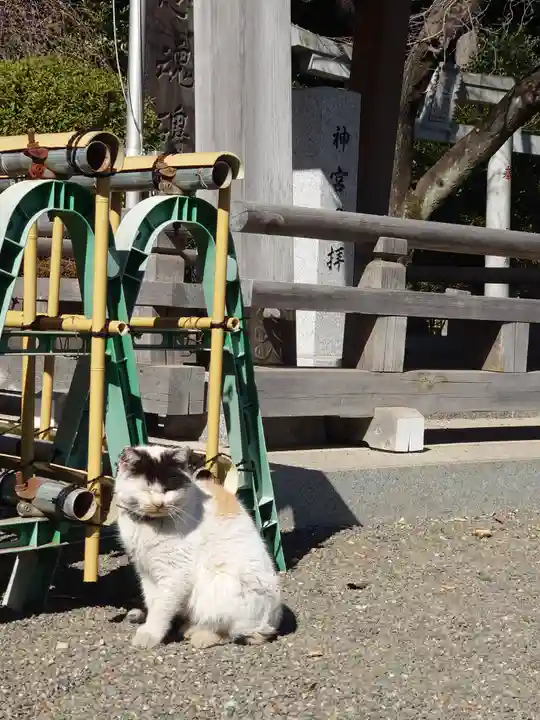 亀ケ池八幡宮(神奈川県)