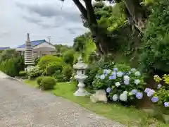 福泉寺の建物その他