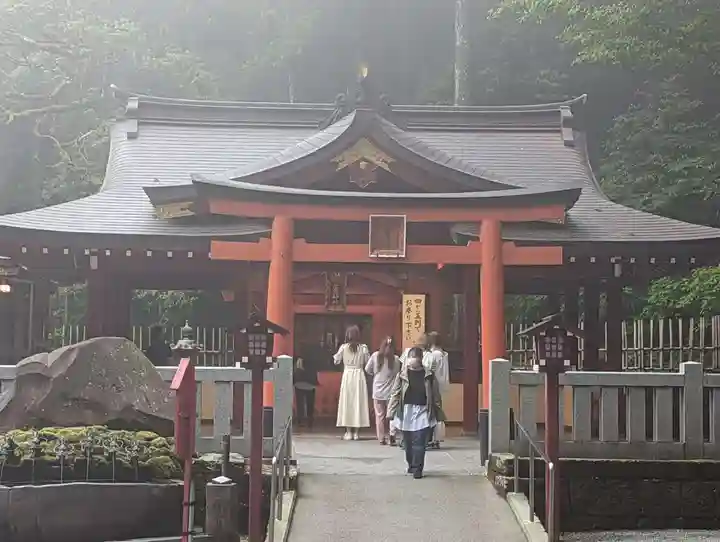 箱根神社の本殿・本堂