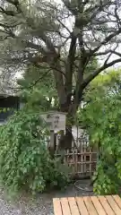 牛天神北野神社の庭園