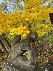 高山稲荷神社(青森県)