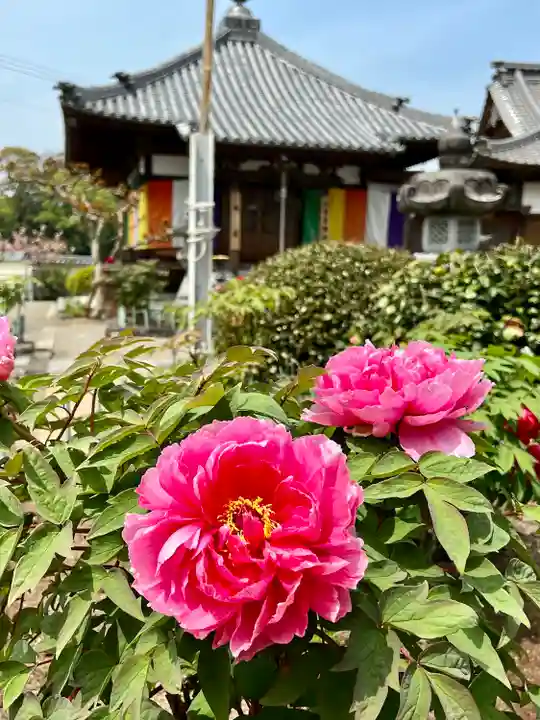 真言宗 善通寺派 薬王寺の自然