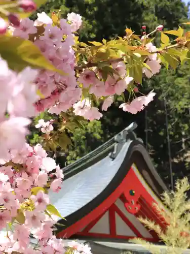 金櫻神社の{uncategorized: "未分類", other: "その他", undefined: "問題あり", building: "その他建物", grave: "お墓", sacred_gate: "鳥居", guardian: "狛犬", statue: "像", buddha: "仏像", history: "歴史", nature: "自然", garden: "庭園", animal: "動物", pagoda: "塔", temizu: "手水舎", mountain_gate: "山門・神門", sanctuary: "本殿・本堂", subordinate: "末社・摂社", art: "芸術", scenery: "景色", jizo: "地蔵", ema: "絵馬", goshuin: "御朱印", omikuji: "おみくじ", items: "授与品その他", amulet: "お守り", goshuincho: "御朱印帳", eats: "食事", festival: "お祭り", votive_dance: "神楽", shichigosan: "七五三参", wedding: "結婚式", experience: "体験その他", initially: "初詣", around: "周辺", anti_infection: "感染症対策"}