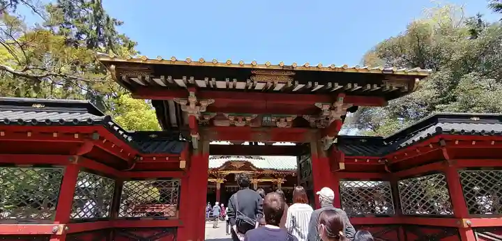 根津神社の山門・神門