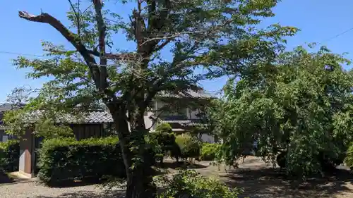 妙久寺(岐阜県)