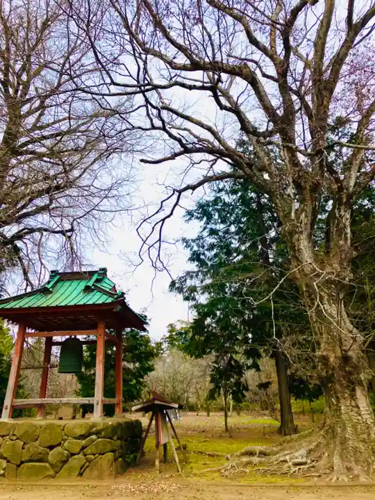 逢善寺のその他建物