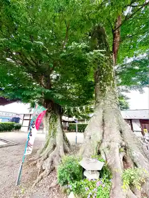 八枝神社(埼玉県)