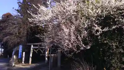 下野 星宮神社のその他建物