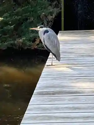 平塚八幡宮(神奈川県)