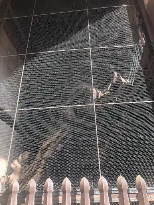 東大寺(奈良県)