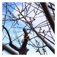 岐阜稲荷山本社(岐阜県)