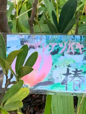 横浜　西方寺(神奈川県)