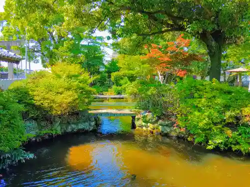 籠守勝手神社（木曽川町黒田）の庭園