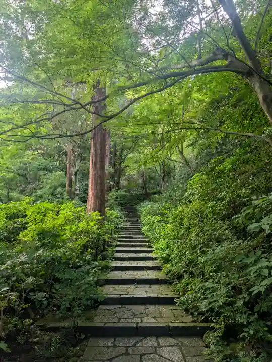瑞泉寺(神奈川県)