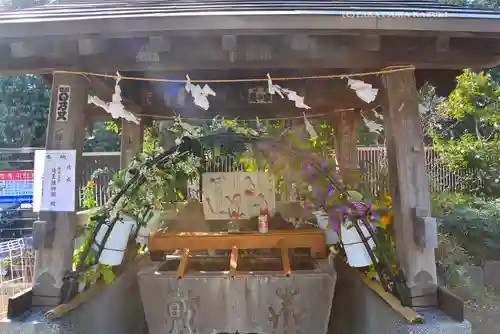 鳩ヶ谷氷川神社(埼玉県)