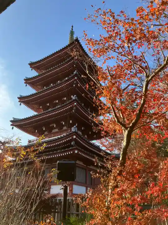 本土寺(千葉県)
