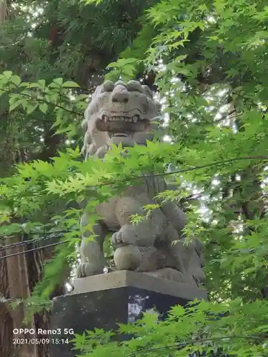 泉神社の狛犬