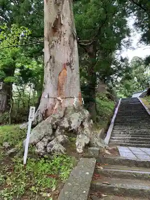 鹽竃神社のその他建物