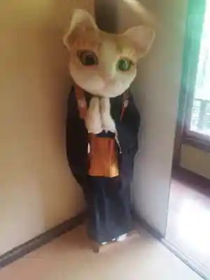 猫猫寺(京都府)