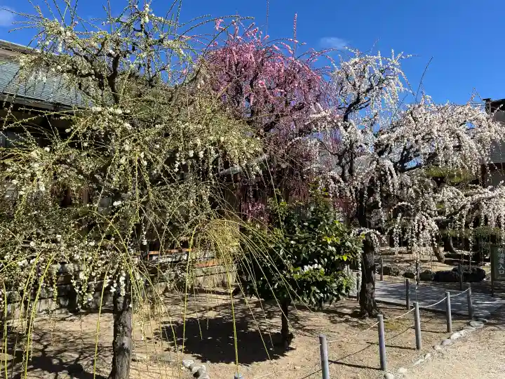 結城神社の{uncategorized: "未分類", other: "その他", undefined: "問題あり", building: "その他建物", grave: "お墓", sacred_gate: "鳥居", guardian: "狛犬", statue: "像", buddha: "仏像", history: "歴史", nature: "自然", garden: "庭園", animal: "動物", pagoda: "塔", temizu: "手水舎", mountain_gate: "山門・神門", sanctuary: "本殿・本堂", subordinate: "末社・摂社", art: "芸術", scenery: "景色", jizo: "地蔵", ema: "絵馬", goshuin: "御朱印", omikuji: "おみくじ", items: "授与品その他", amulet: "お守り", goshuincho: "御朱印帳", eats: "食事", festival: "お祭り", votive_dance: "神楽", shichigosan: "七五三参", wedding: "結婚式", experience: "体験その他", initially: "初詣", around: "周辺", anti_infection: "感染症対策"}