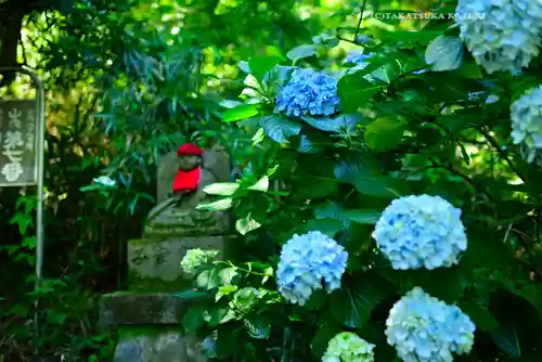 高幡不動尊　金剛寺(東京都)