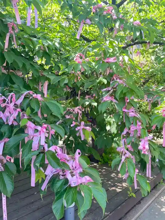 桜神宮(東京都)