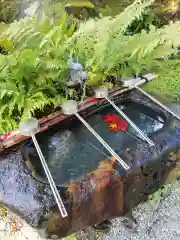 吉水神社の手水