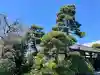 貞源寺の{uncategorized: "未分類", other: "その他", undefined: "問題あり", building: "その他建物", grave: "お墓", sacred_gate: "鳥居", guardian: "狛犬", statue: "像", buddha: "仏像", history: "歴史", nature: "自然", garden: "庭園", animal: "動物", pagoda: "塔", temizu: "手水舎", mountain_gate: "山門・神門", sanctuary: "本殿・本堂", subordinate: "末社・摂社", art: "芸術", scenery: "景色", jizo: "地蔵", ema: "絵馬", goshuin: "御朱印", omikuji: "おみくじ", items: "授与品その他", amulet: "お守り", goshuincho: "御朱印帳", eats: "食事", festival: "お祭り", votive_dance: "神楽", shichigosan: "七五三参", wedding: "結婚式", experience: "体験その他", initially: "初詣", around: "周辺", anti_infection: "感染症対策"}