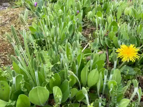鹿島神社の周辺