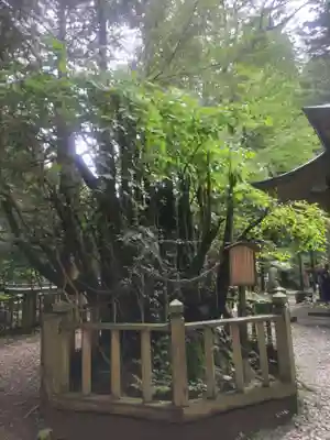 幣立神宮(熊本県)